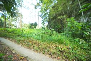 BIB: 
                            <button type="button" onclick="openModal(21744887)" class="btn btn-primary btn-sm float-right btn-popup" data-toggle="modal" data-target=".modal-high-quality">
                        <i class="fas fa-shopping-cart"></i> Add to Cart
                    </button>
                                            <button type="button" onclick="isThisMe(21744887, true)" class="btn btn-success btn-sm float-right btn-popup btn-isme hidden" data-toggle="tooltip" data-placement="bottom" title="นี่คือรูปของคุณใช่ไหม คลิกที่นี่เพื่อเอาเข้าอัลบั้ม">
                        <i class="fas fa-plus"></i> Add to album
                    </button>
                    <button type="button" onclick="isThisMe(21744887, false)" class="btn btn-warning btn-sm float-right btn-popup btn-isnotme hidden">
                        <i class="fas fa-ban"></i> Remove from album
                    </button>